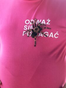 IMG_20240915_120346235_HDR